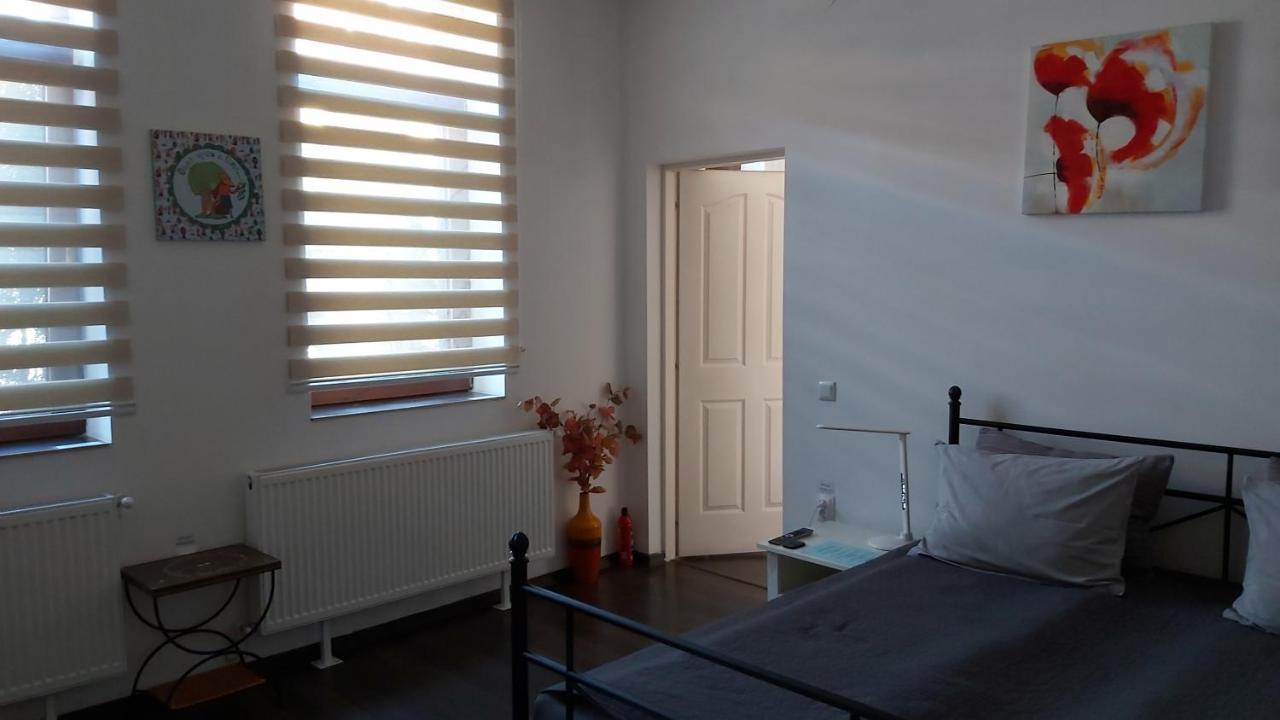 City Center Minimalist Apartment Oradea Eksteriør billede