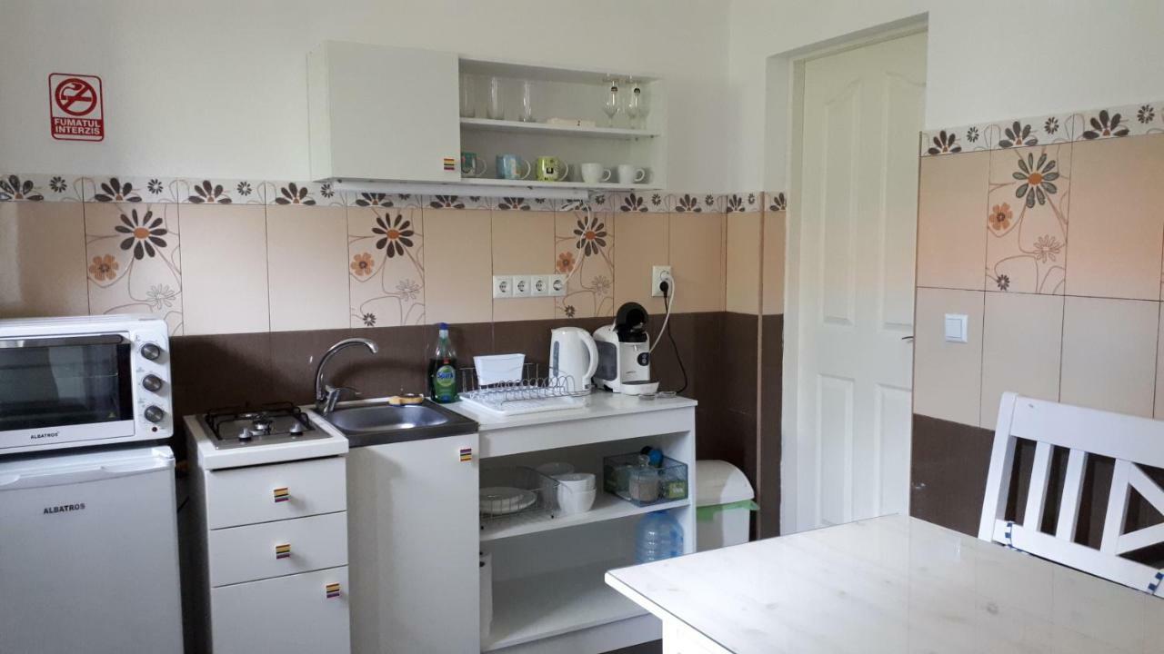 City Center Minimalist Apartment Oradea Eksteriør billede